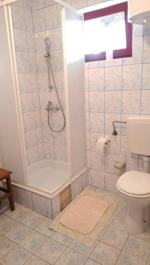 Apartman Knezevic Lägenhet Rukavac  Exteriör bild